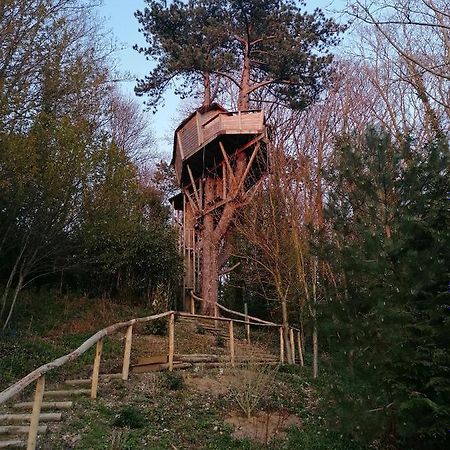 Sherwood Tree Étretat Exterior foto