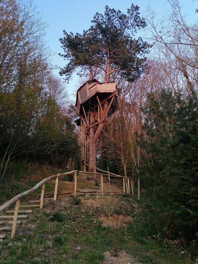 Sherwood Tree Étretat Exterior foto